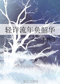 錦年曾微雨/輕許流年負韶華