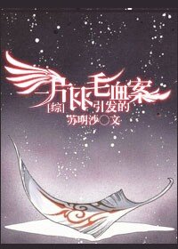 （BG/綜漫同人）[綜]一片羽毛引發的血案